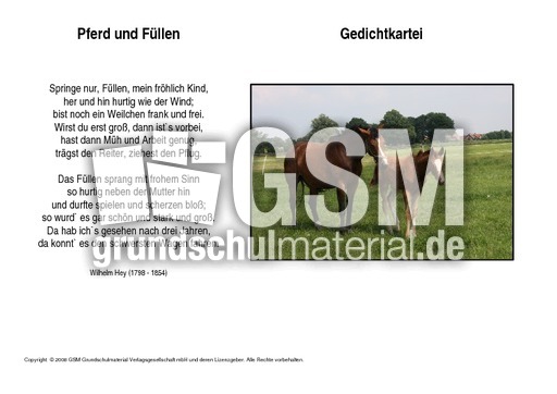 Pferd-und-Füllen-Hey.pdf